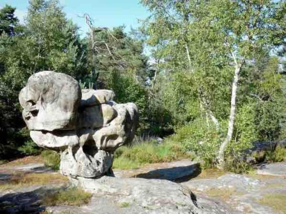 La Pause Allongee - Fontainebleau Hypercentre Bagian luar foto